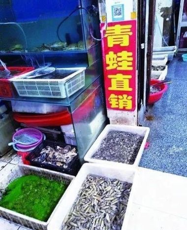 举报：开明市场有人“明目张胆”卖青蛙？！监管部门：没事