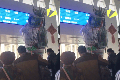  山东的蔬：浩克山东丨山东“巨型食物”之谜