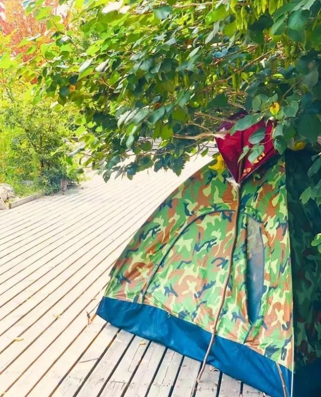 就在青岛！地铁直达、免费开放、紧邻八大关、隐蔽的小树林...这