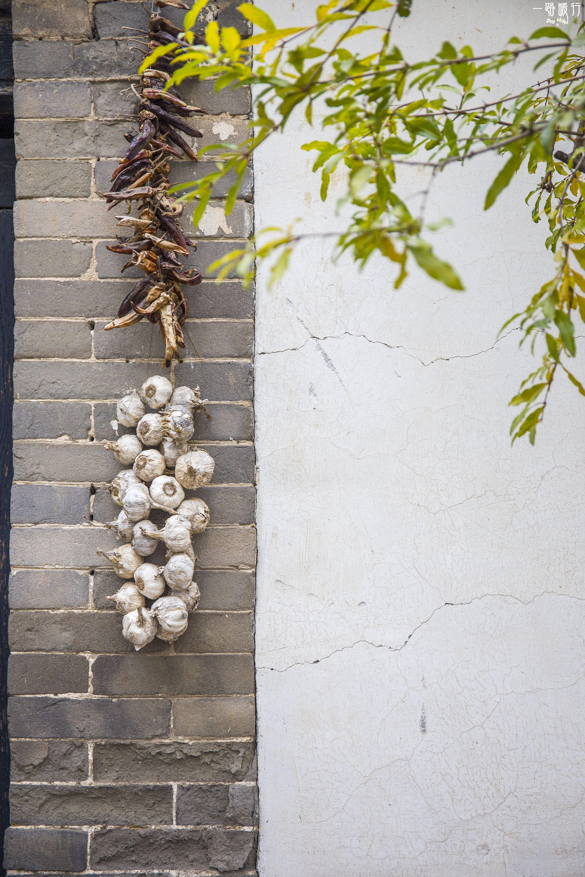 东营丨走过沧海桑田，终是在芦花飞雪的秋日遇见你