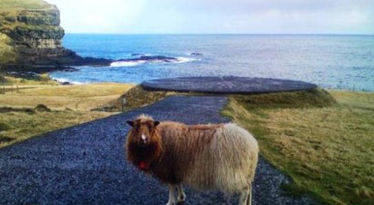 世界上最“悲催”的岛屿，引进3只羊当乐趣，最后岛差点被羊吃光