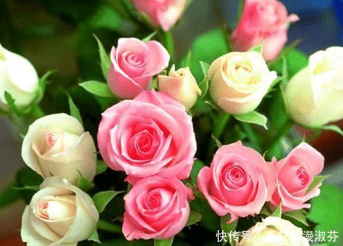 #人都#智商、情商都很高,思想敏锐,前途无忧,特别受欢迎的四大生肖