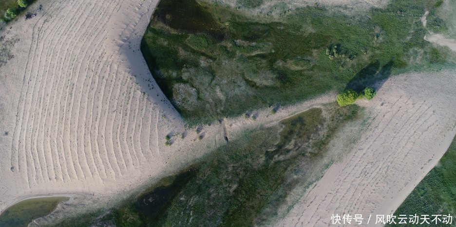 马云的“蚂蚁森林”已三年，天价造的森林怎样了看到画面泪目了