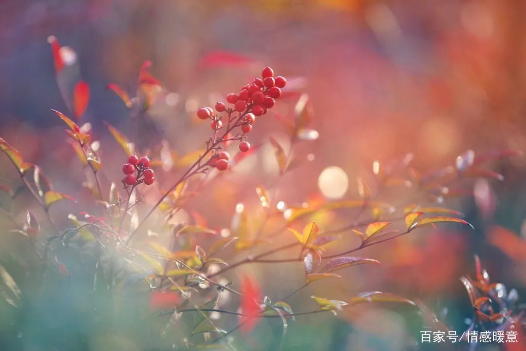  『牵挂你的人』牵挂，是世间最温暖的情