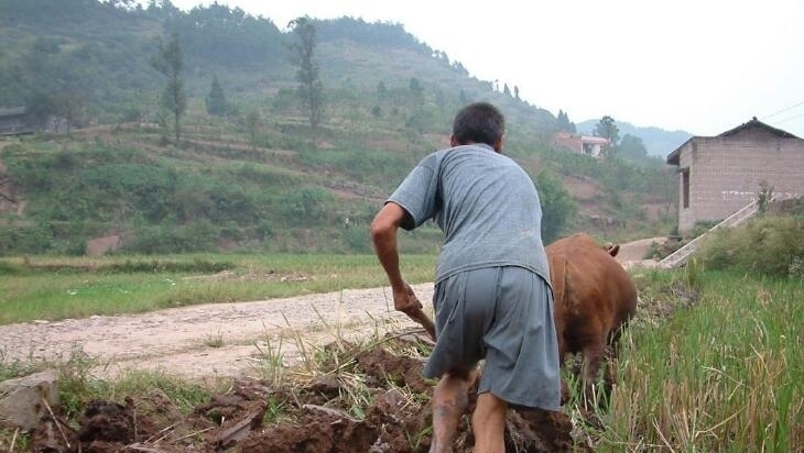 未来5年,农村将面临“大洗牌”,这3样东西可能将消失,赶紧看看！