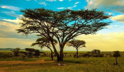 坦桑尼亚——东非大陆的一颗明珠!