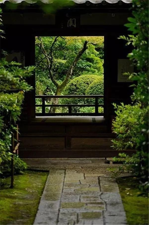 「青苔」一处青苔,美了一个院子