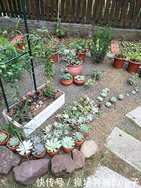  「李小姐还」她将荒芜的后院，改造成最美花园，完工一年后，让人惊艳