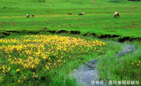 云南最聪明的县级市,经济不好马上改名,现在的名气比省会还高