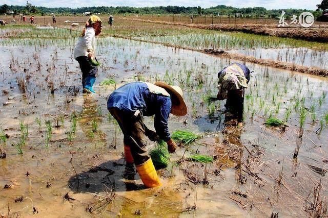 在农村，一个家庭富不富裕，主要是看这两方面的收入怎么样