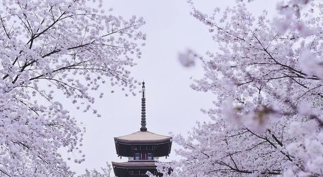  [殡仪馆]武汉八岁孩童去殡仪馆领父母骨灰，有多少别离竟是此生不复再见？