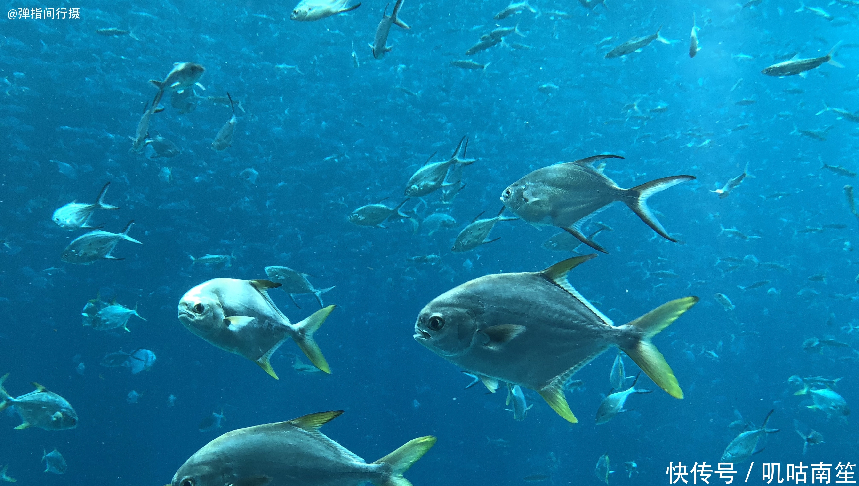 中国5大热门亲子乐园，第1个门票最贵且“新闻”不断，网友：不去