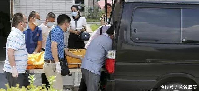 网红女殴打八月怀胎孕妇事件狗永远是狗，可人有时候却不是人！