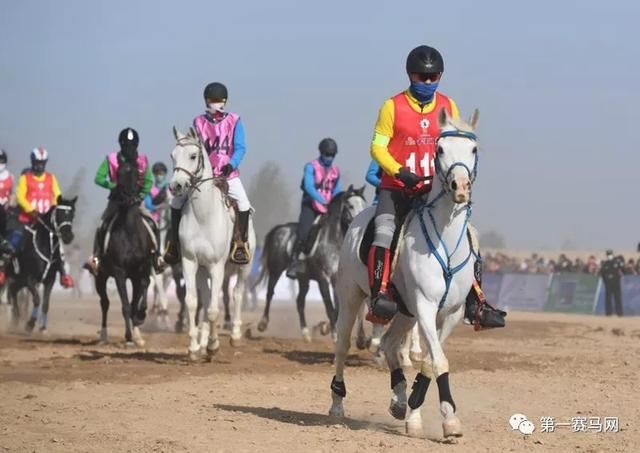 国内外上百人马组合近万名马术爱好者参加，旅游+体育，砀山玩法