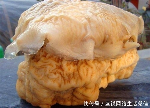 「一头雾水」梁山好汉中最难懂的五大绰号，几乎没人能懂，人们听了都一头雾水