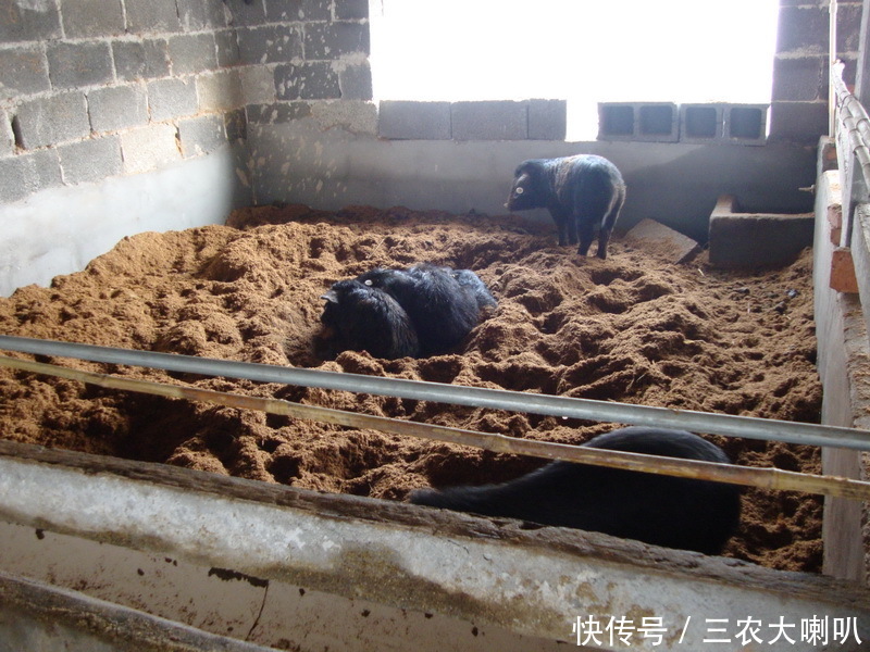 部分养殖场将直接被拆除