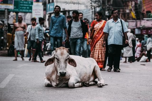 走进印度:中国女游客亲临印度,感受印度的真实生活!