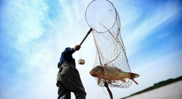 黄河水清了，为什么鱼虾反而少了？专家一席话让人心惊！