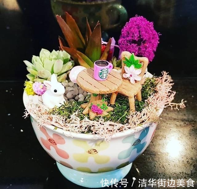  「花园」在家里种盆栽的新姿势，“茶杯花园”你见过吗？