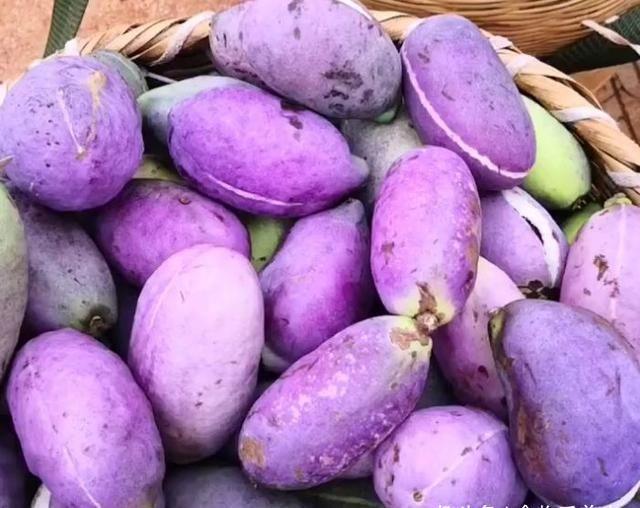  #药食#农村漫山遍野的“它”是一种药食两用的水果，一斤20元需