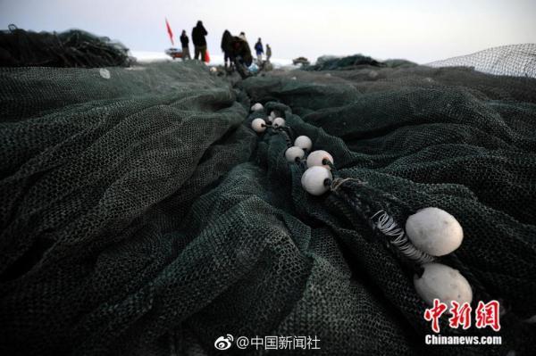 凿冰开眼踏雪寻鱼！新疆乌伦古湖冬季大拉网捕鱼场面壮观
