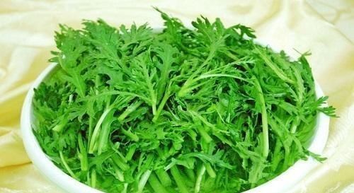  『好吃』4种生长快、味道鲜美的蔬菜，吃完一茬又一茬！