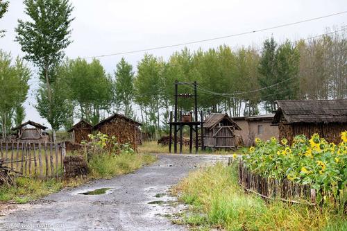 农村这4大怪象，想想就头疼，该如何应对呢？