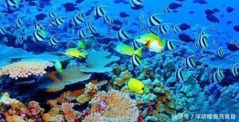 全球十大度假岛屿,长滩岛是一个很受冲浪爱好者喜欢的地方