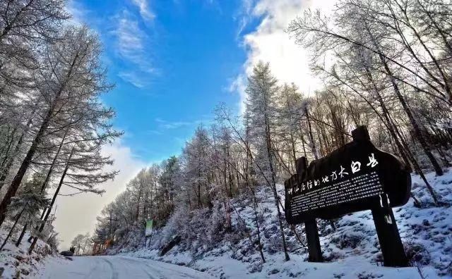 初冬已至,降温来袭 | 陕西这些地方已经下雪啦!想看雪景的走起