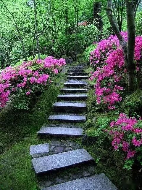  【漫步】春暖花开，谁能陪我漫步这么美的路？