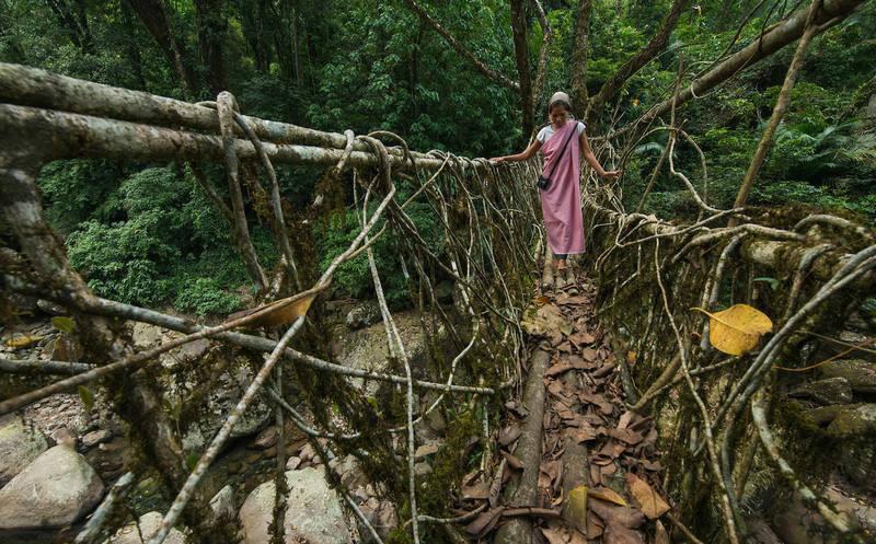 世界上最不缺水的地方,当地人用树建桥,十几年才能建成一座桥