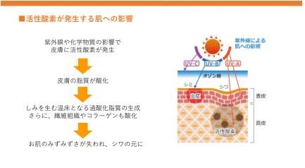 日本美白新趋势，小野断黑密码中国上架!