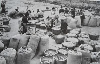 为国家交了几十年公粮的农民，如今老了待遇差别怎么那么大？