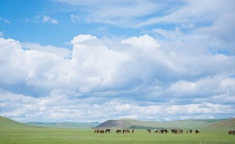 国内草原排行榜 中国草原景点最顶级的有哪些