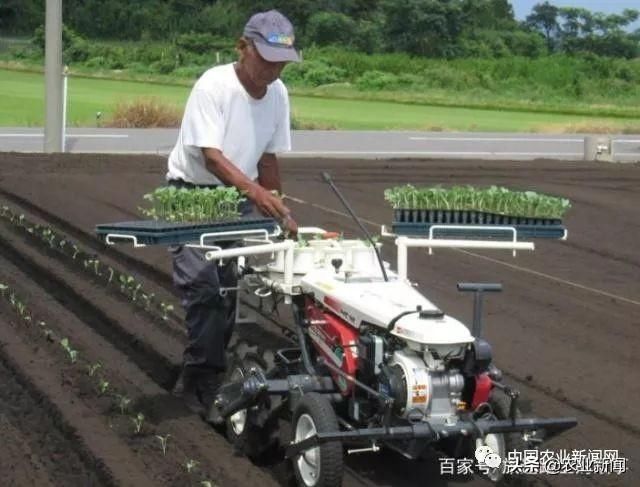 为什么日本地方不大，农业还会被人们称赞？看当地果园就知道了