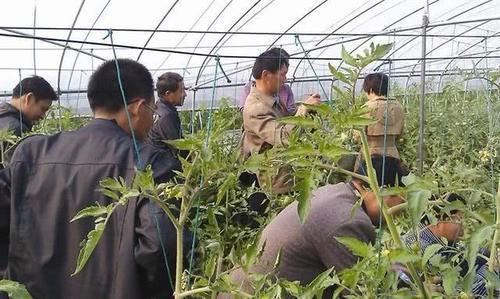  留意■五年内，以下新职业在农村会“吃香”，计划回家发展的人