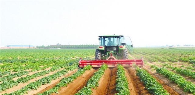 德国机械有多牛？采摘水果全用机器，一天可抵50个果农！