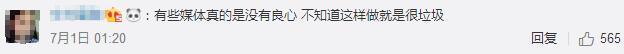 何洁破口大骂，怒斥媒体“良心被狗吃了”，网友：你是最好的母亲