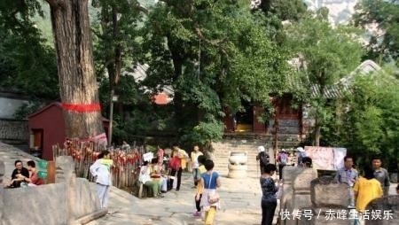 中国最厉害的佛寺，大量名校高材生在此出家，因名字简单总被混淆