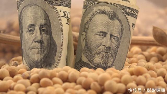 多个大豆出口国或向中国市场和人民币倾斜后，中国大豆正在崛起？