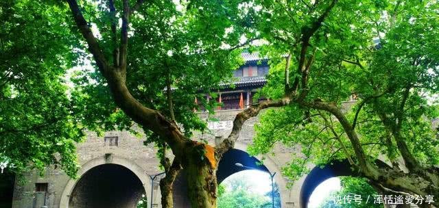  【城市】中国压力最大的两个省会，南京进入榜单，还有一座城市非常意外