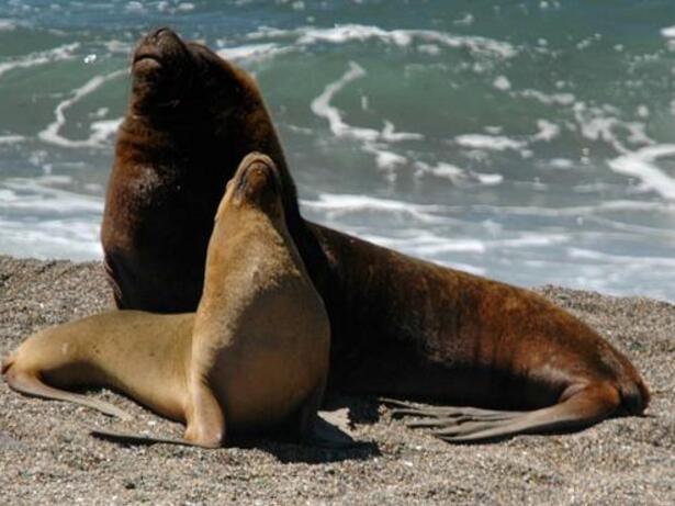 世界最深的湖泊,最深达1600多米,传说湖中潜伏“白垩纪凶兽”