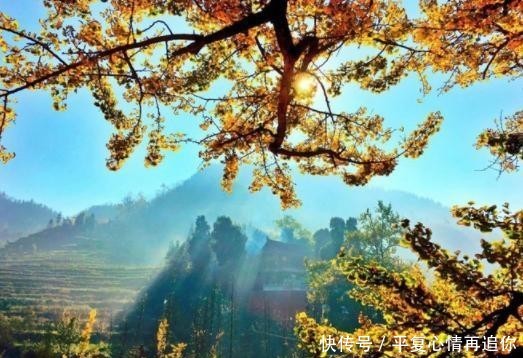 中国最“可爱”的寺庙,隐藏在贵州深山之中,被称为现实版乌龙院