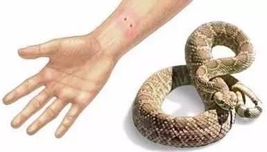 小姑娘轻信影视伪科学 非把年轻班主任叫爹！