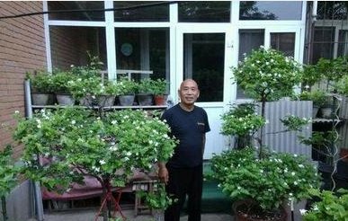  「花开后」养花妙招，隔10天把花盆“转一转”，花开后邻居都羡慕了
