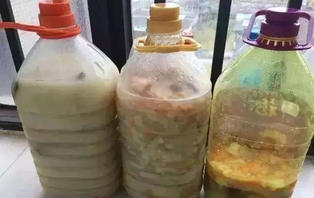  「来种菜」阳台种菜种密了,一个小窍门就能解决,还能多收获二十盆菜