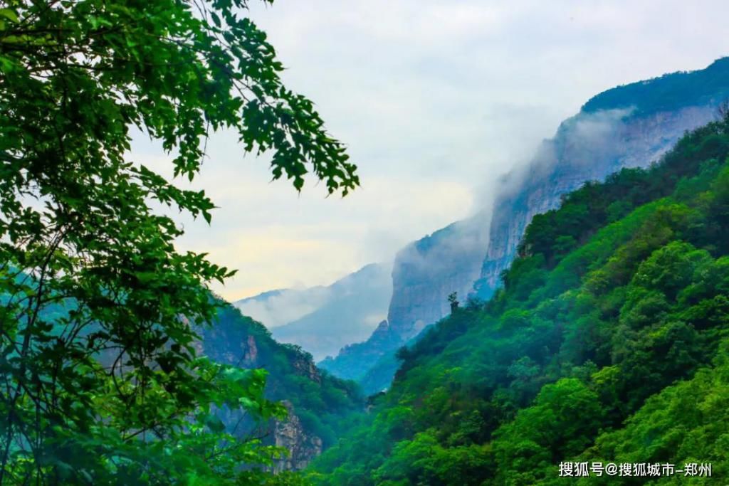 「彩蛋」每一帧都是大片,这才是仙境本仙!还有彩蛋哦