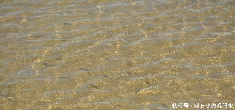 它被称为广东最美的海岛, 100多年前差点被租借给英国!