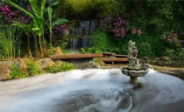 66岁大叔，8年时间打造出了中国最美私家花园，让人叹为观止！