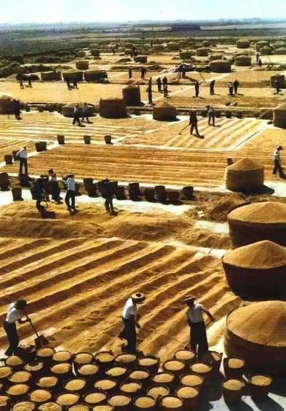 一组记录上世纪七十年代人民公社开展生产运动的珍贵老照片